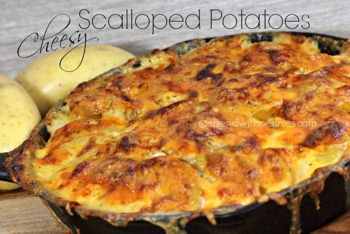 Quick Scalloped Potatoes Recipe
 Cheesy Scalloped Potatoes with secret tip Spend With