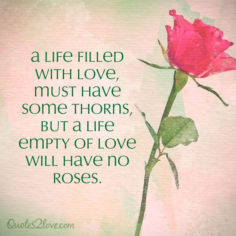 Quote About Flowers And Life
 A life filled with love must have some thorns but a life