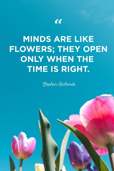 Quote About Flowers And Life
 50 Inspirational Flower Quotes Cute Flower Sayings About