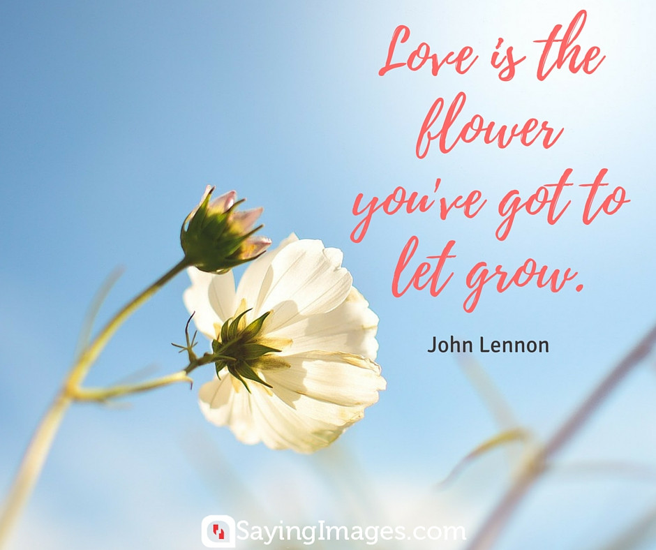 Quote About Flowers And Life
 35 Beautiful Flower Quotes To Celebrate Life Hope And