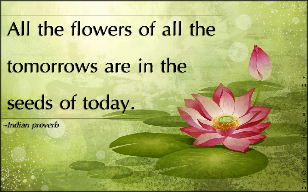 Quote About Flowers And Life
 Life Quote Wallpapers