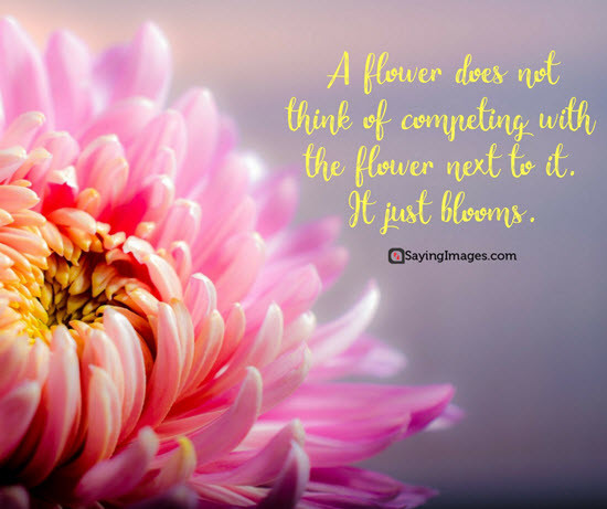 Quote About Flowers And Life
 Quotes about Life Life Quotes