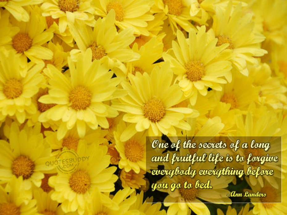 Quote About Flowers And Life
 Quotes About Life And Flowers QuotesGram