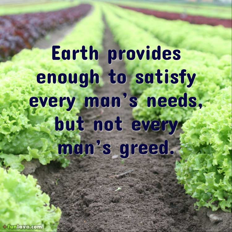 Quote About Mother Earth
 20 Quotes about Mother Nature