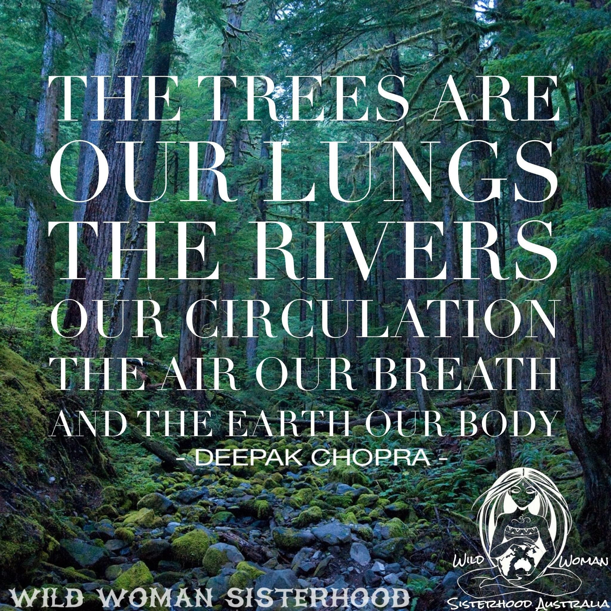 Quote About Mother Earth
 Pin by Michelle Mohr on Favorite posts