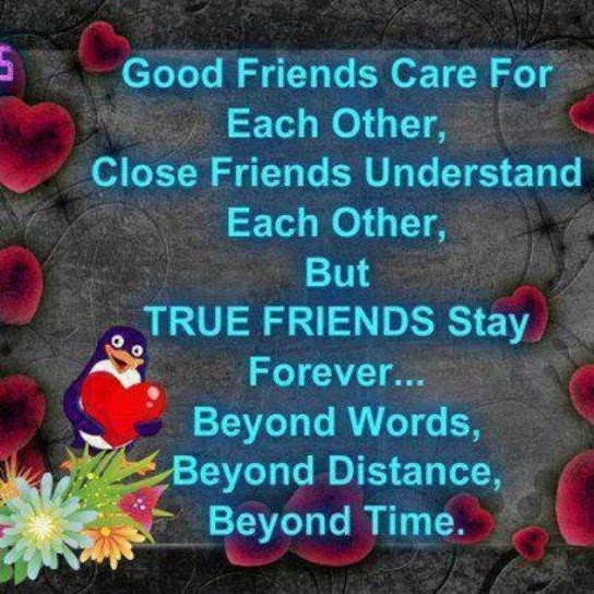 Quote On Real Friendship
 Good friends care for each other
