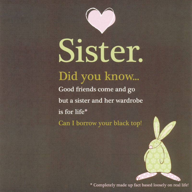 Quotes About Sisters Birthday
 Happy Birthday Little Sister Quotes QuotesGram