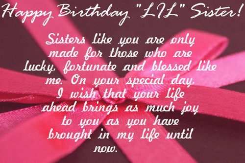 Quotes About Sisters Birthday
 The 105 Happy Birthday Little Sister Quotes and Wishes