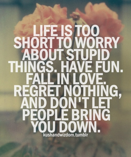 Quotes Life Is Short
 Quotes About Stupid Stuff QuotesGram