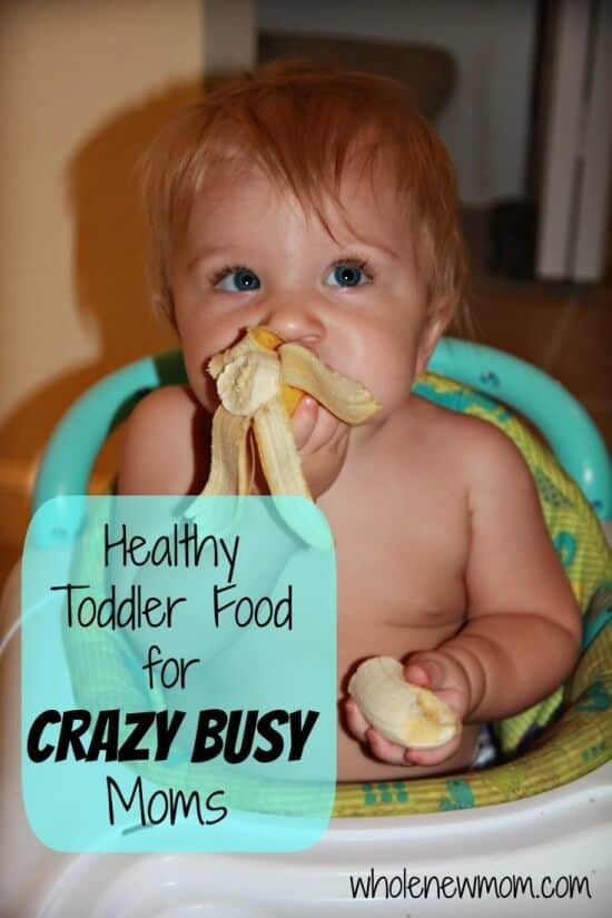 Real Baby Food: Easy, All-Natural Recipes For Your Baby And Toddler
 Healthy Meals for Toddlers