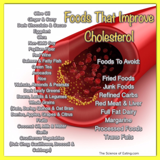 Recipes For Low Cholesterol Diets
 Foods To Help Health Issues