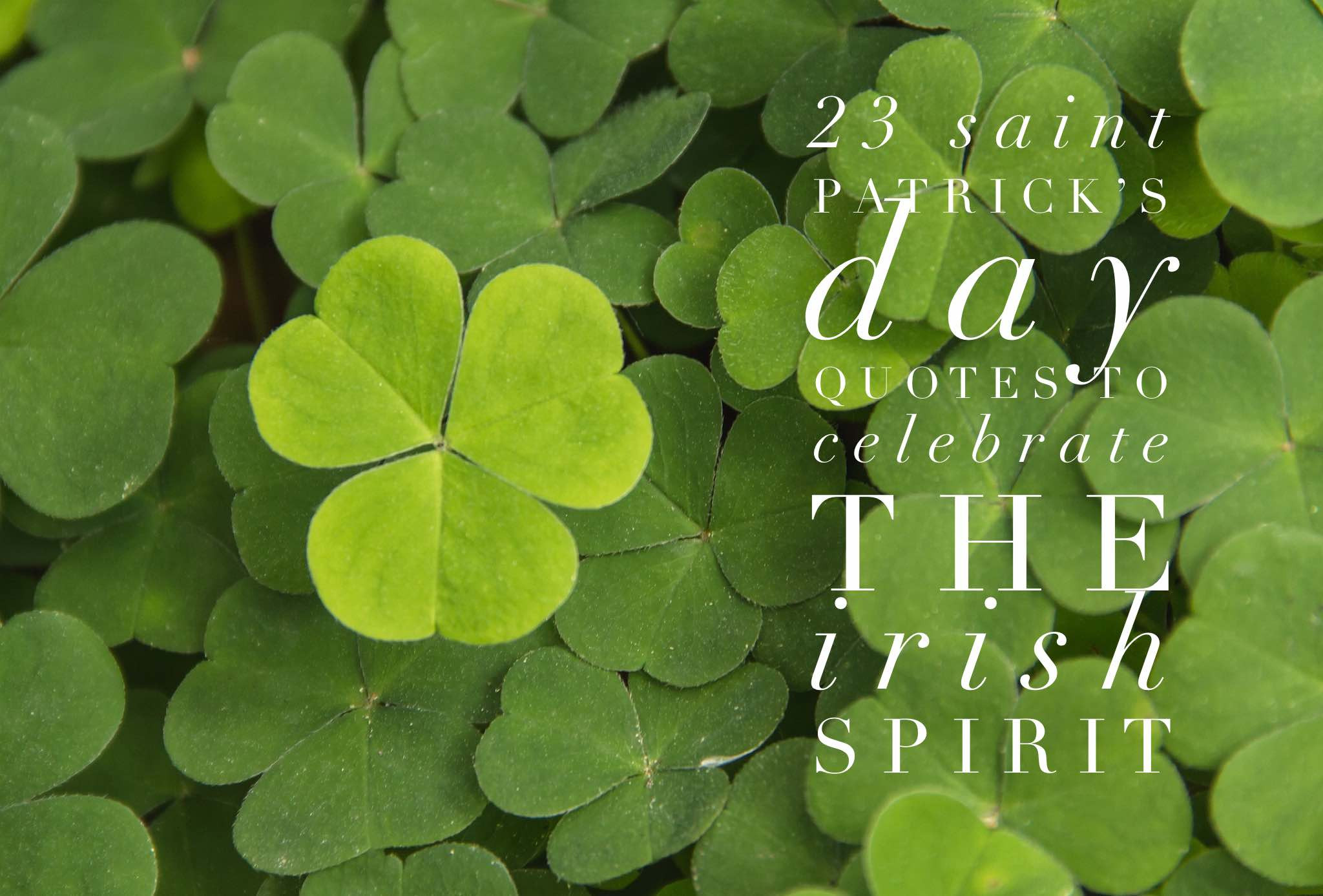 Saint Patrick's Day Quotes
 17 Saint Patrick s Day Quotes to Celebrate the Irish