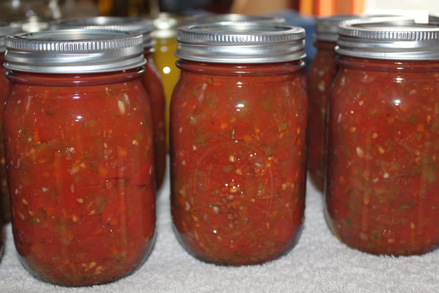 Salsa Recipe Canning
 Classic Salsa Canning Recipe Made Straight From The Garden