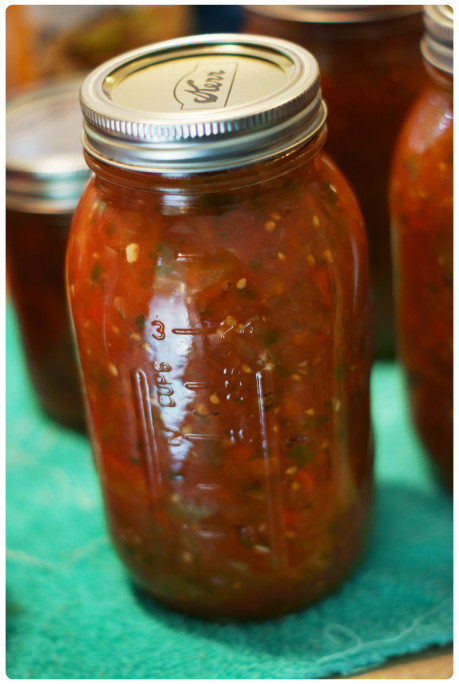 Salsa Recipe Canning
 Super Simple Salsa for Canning