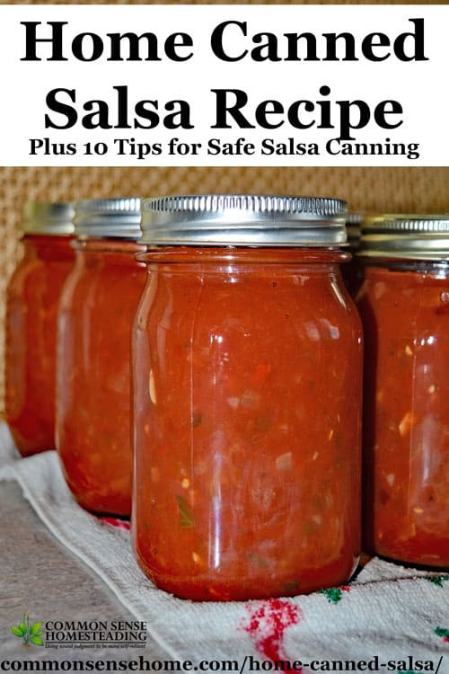 Salsa Recipe Canning
 Home Canned Salsa Recipe Plus 10 Tips for Safe Salsa Canning