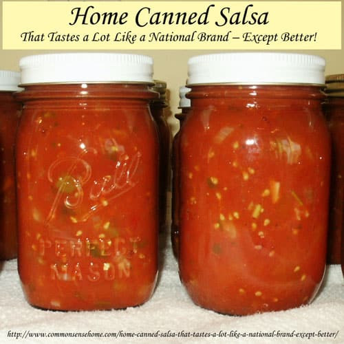 Salsa Recipe Canning
 Home Canned Salsa Recipe That Tastes a Lot Like a National