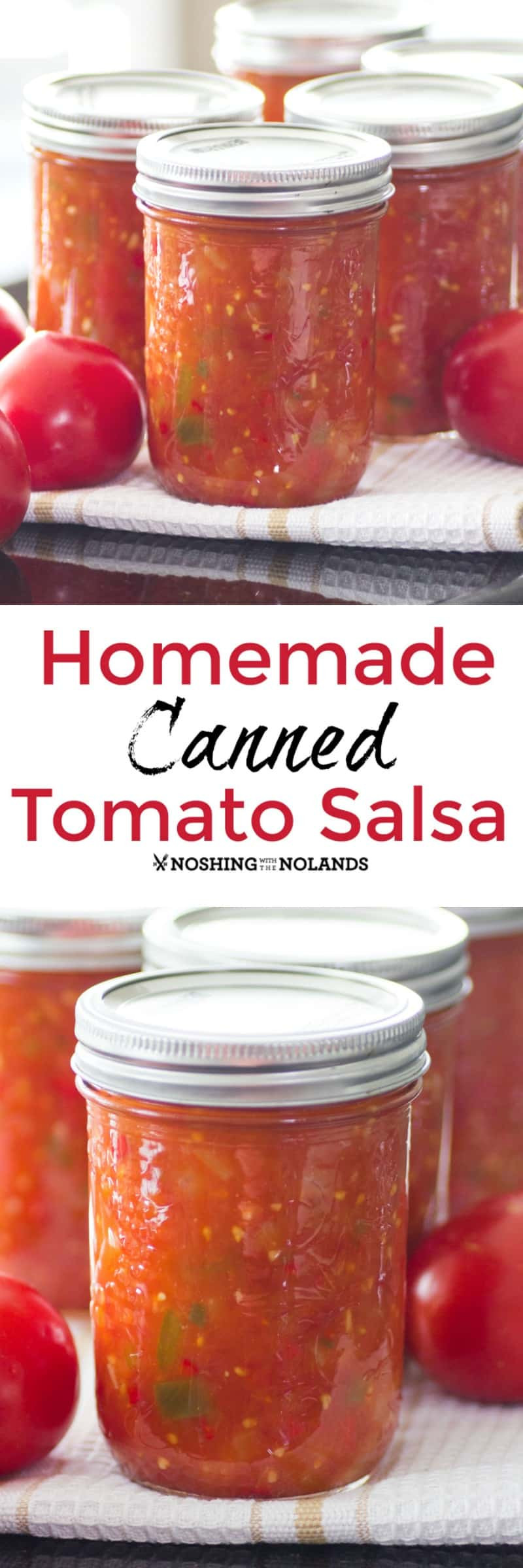 Salsa Recipe Canning
 Homemade Canned Tomato Salsa is the best with fresh summer