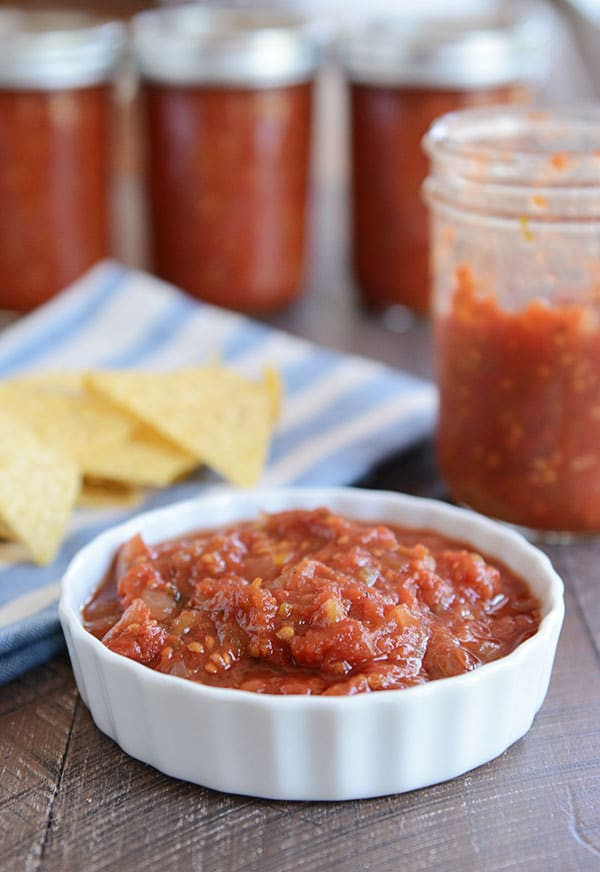Salsa Recipe Canning
 The Best Homemade Salsa Fresh or For Canning Mel s