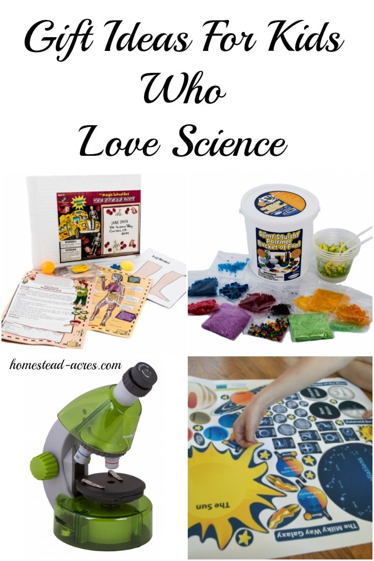 Science Gifts For Children
 Gift Ideas For Kids Who Love Science Homestead Acres