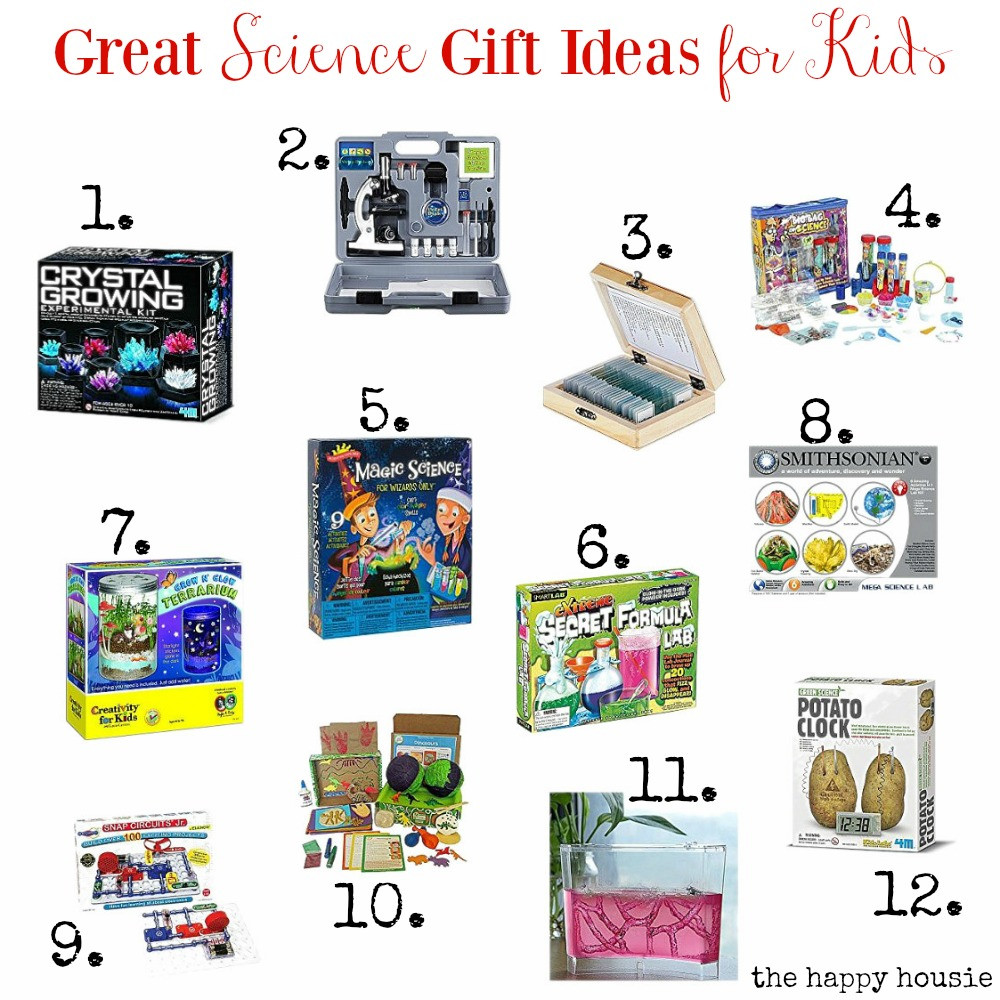 Science Gifts For Children
 Great Science Gift Ideas for Kids