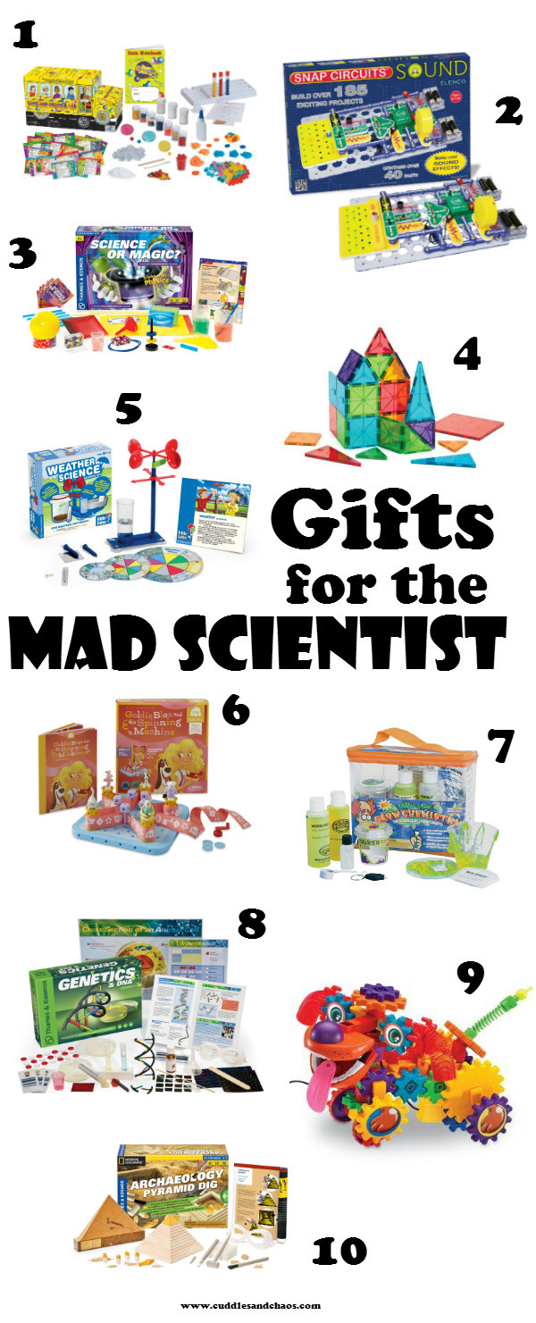 Science Gifts For Children
 Kids Gift Guide Mad Scientist