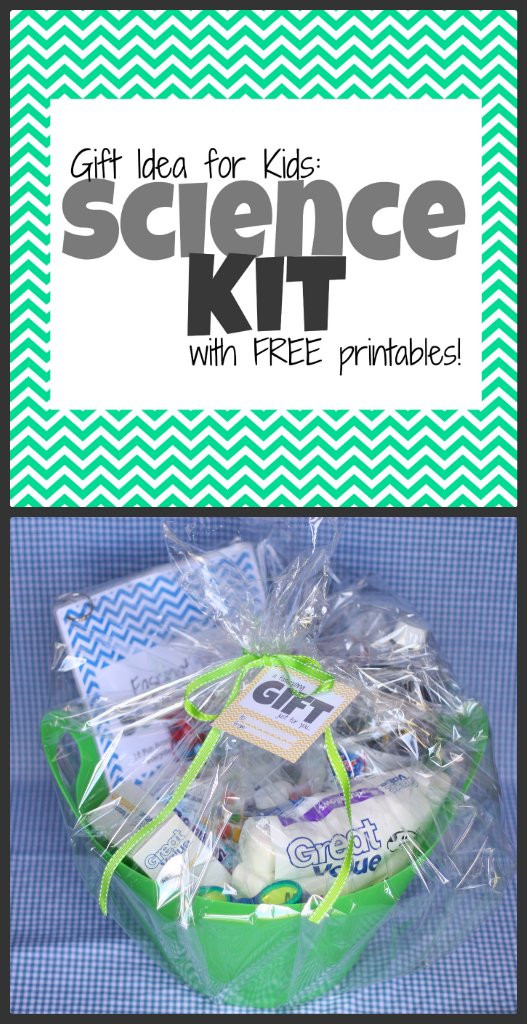 Science Gifts For Children
 Gift Idea Science Kit for Kids with free printables I