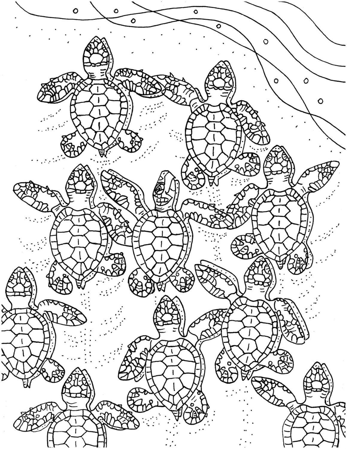 Sea Turtle Coloring Pages Printable
 Baby Sea Turtles coloring page embroidery pattern sea