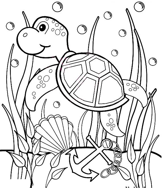 Sea Turtle Coloring Pages Printable
 Sea Turtle Coloring Pages