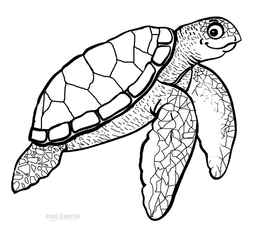 Sea Turtle Coloring Pages Printable
 Printable Sea Turtle Coloring Pages For Kids
