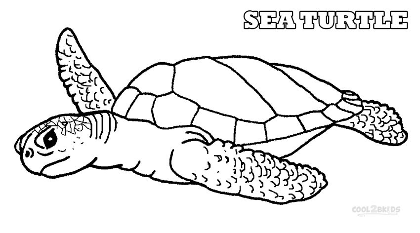 Sea Turtle Coloring Pages Printable
 Printable Sea Turtle Coloring Pages For Kids