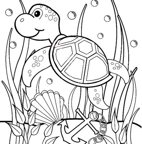 Sea Turtle Coloring Pages Printable
 sea turtle coloring sheet with beautiful undersea scenery
