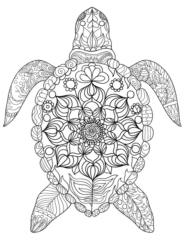 Sea Turtle Coloring Pages Printable
 Pin by Muse Printables on Adult Coloring Pages at