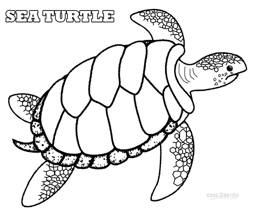 Sea Turtle Coloring Pages Printable
 Sea Plants Coloring Pages