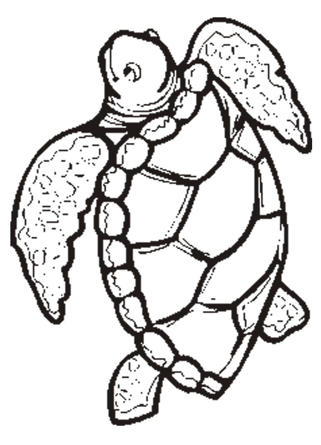 Sea Turtle Coloring Pages Printable
 Coloring Pages Turtles Free Printable Coloring Pages
