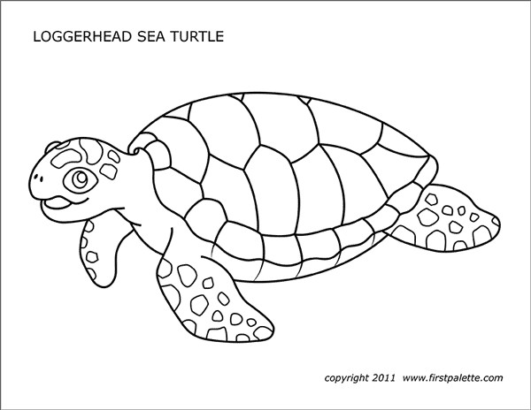 Sea Turtle Coloring Pages Printable
 Sea Turtles