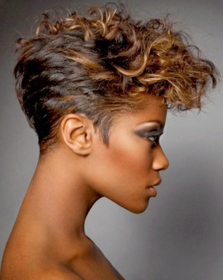 Short Curly Hairstyles For Women
 African American Hairstyles Trends and Ideas Curly Short