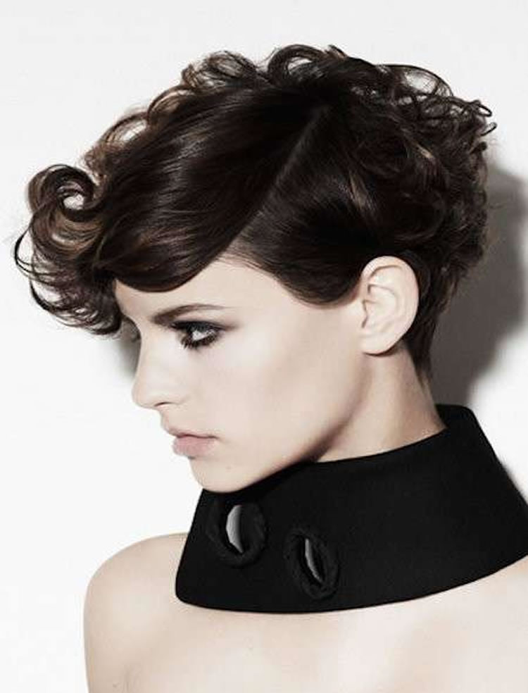 Short Curly Updo Hairstyles
 31 Most Magnetizing Short Curly Hairstyles in 2020 2021