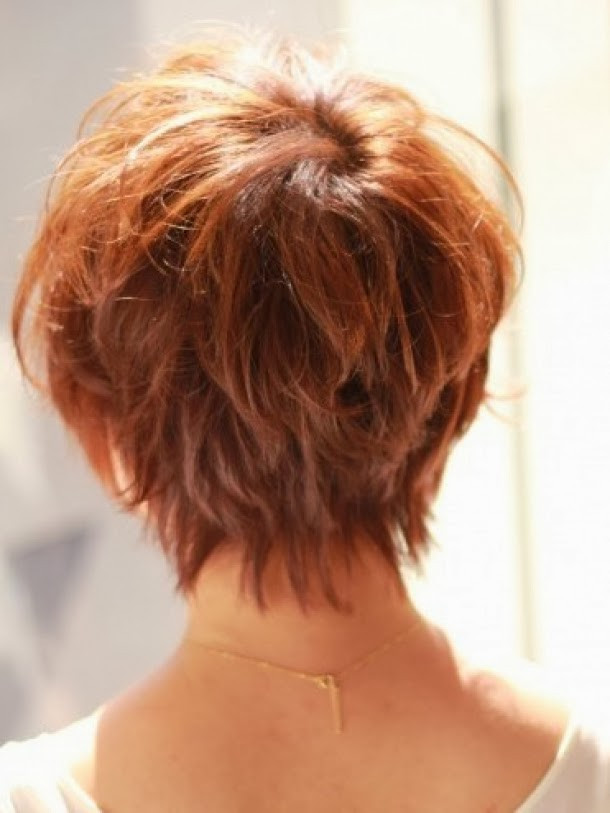 Short Haircuts From The Back
 Short Hairstyles Back View Newest