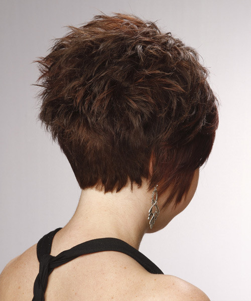 Short Haircuts From The Back
 Layered Chocolate Brunette Pixie Cut with Side Swept Bangs
