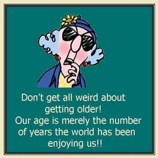 Silly Birthday Quotes
 Best Quality The 50 Best Happy Birthday Quotes of All Time