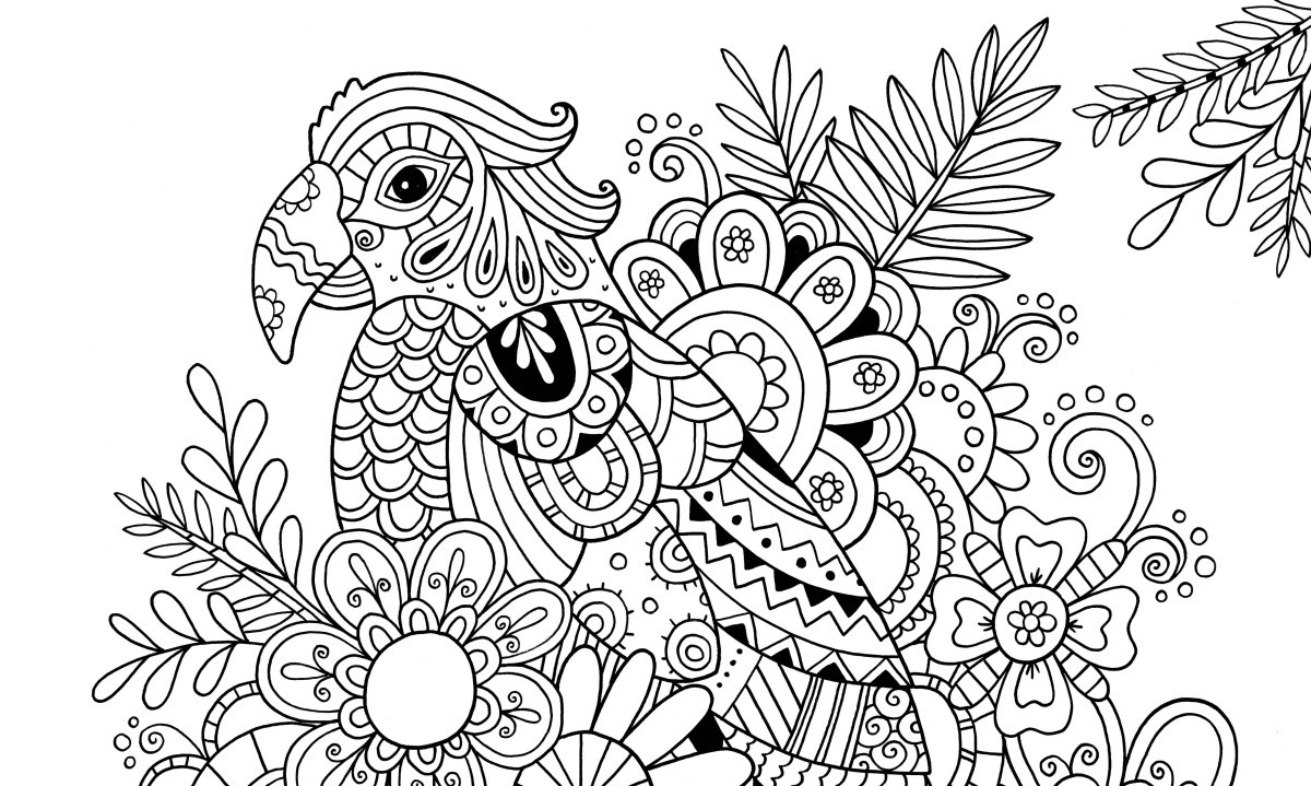 Simple Adult Coloring Books
 How to Draw Zentangle Patterns Hobbycraft Blog