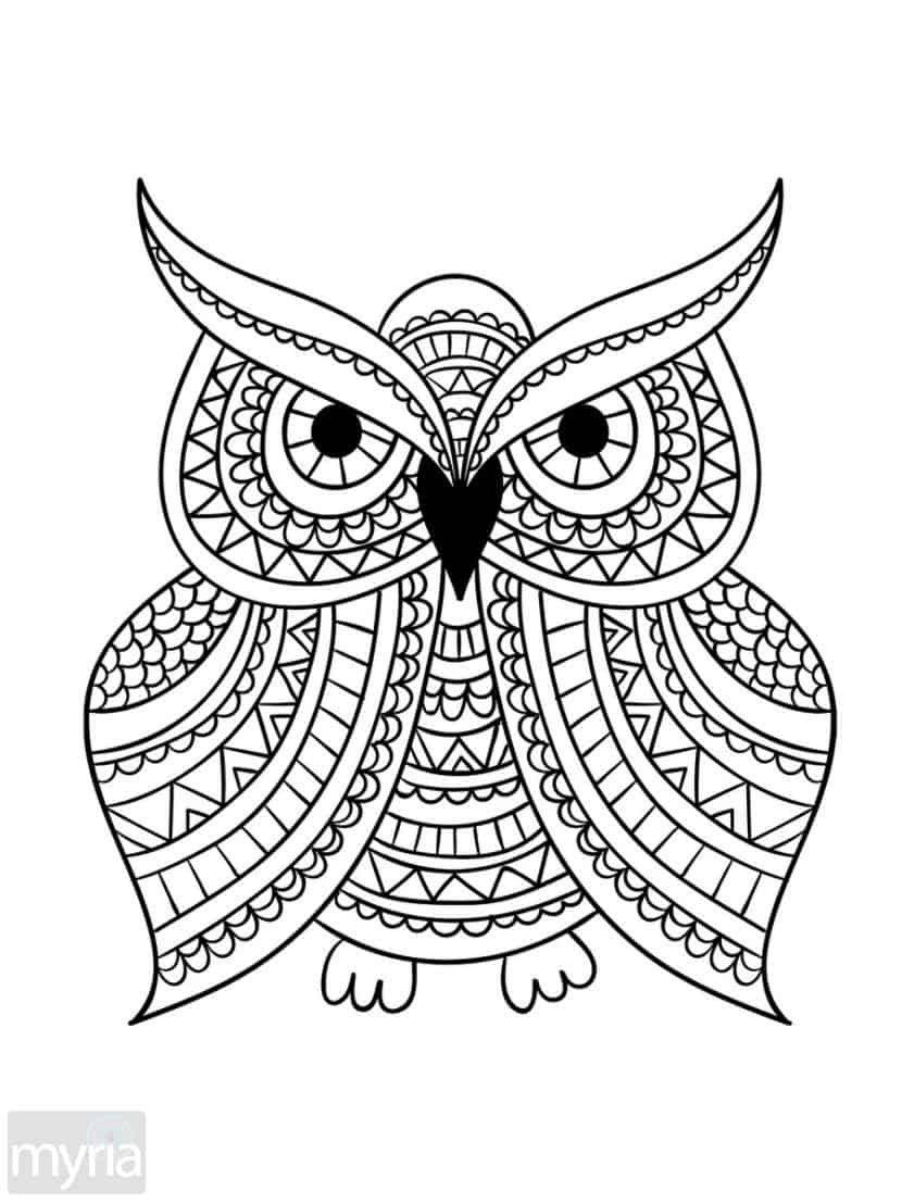 Simple Coloring Pages For Adults
 Print Adult Coloring Book 1 Big Beautiful