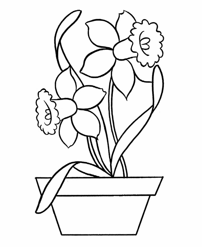 Simple Coloring Pages For Kids
 Easy Coloring Pages Best Coloring Pages For Kids