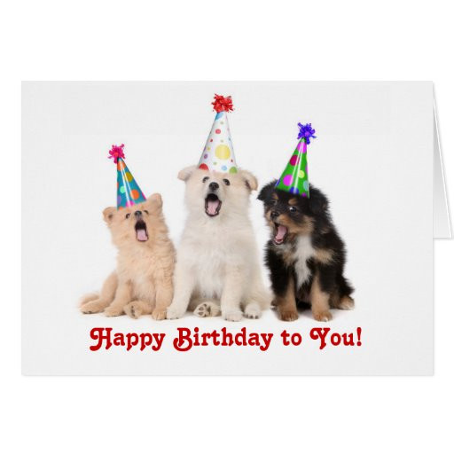 Singing Birthday Card
 Singing Puppies Birthday Card