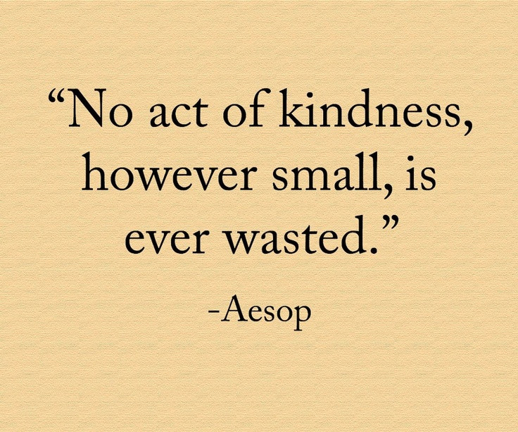 Small Acts Of Kindness Quotes
 Small Acts Kindness Quotes QuotesGram