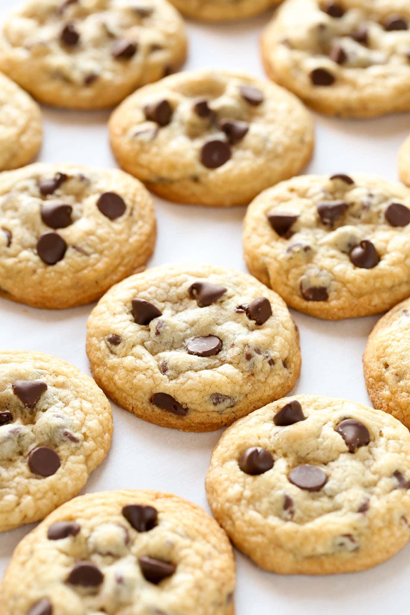Soft Chewy Chocolate Chip Cookies
 Soft and Chewy Chocolate Chip Cookies Recipe