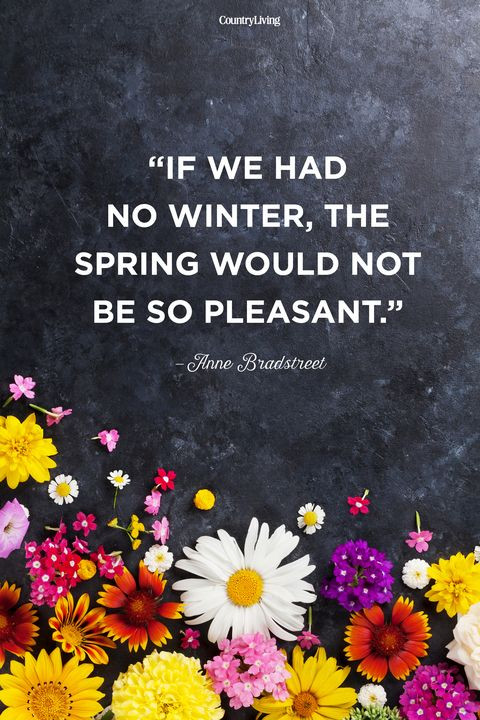 Spring Quotes Inspirational
 25 Happy Spring Quotes Motivational Sayings About Spring