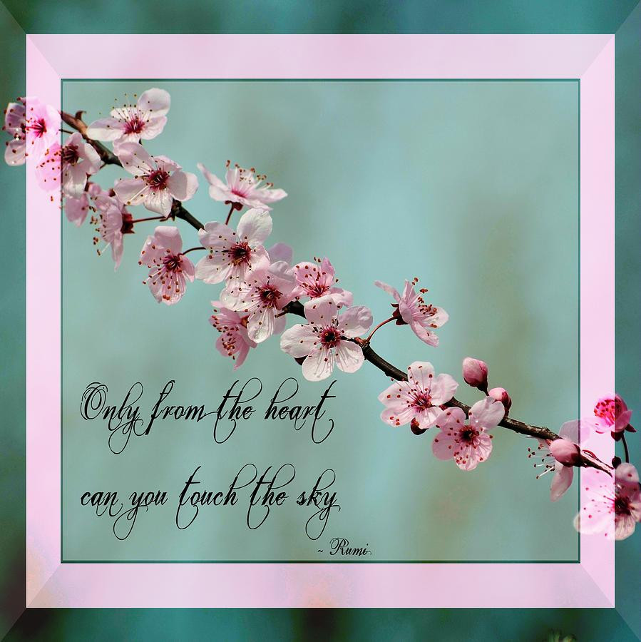 Spring Quotes Inspirational
 Funny Spring Quotes Inspirational QuotesGram