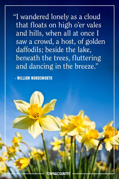 Spring Quotes Inspirational
 10 Best Spring Quotes Inspirational and Funny Sayings