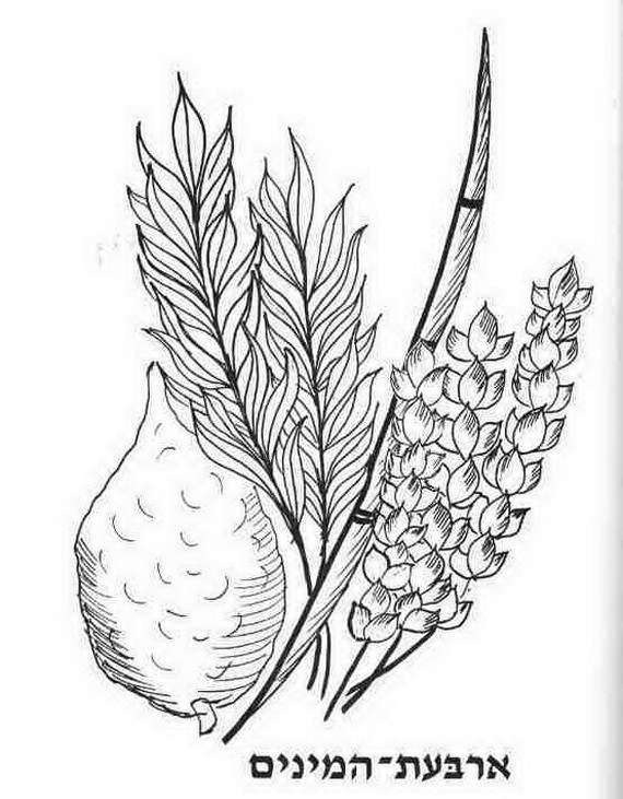 Sukkot Coloring Pages Printable
 Sukkot Free Jewish Coloring Pages for Kids family